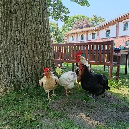 Ferien Am Schloss - 5 