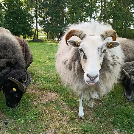Ferien Am Schloss - 5 