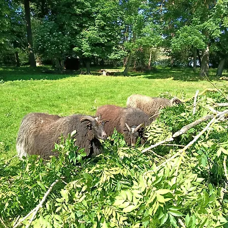 Ferien Am Schloss - 5 