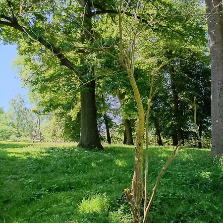 Ferien Am Schloss - 5 