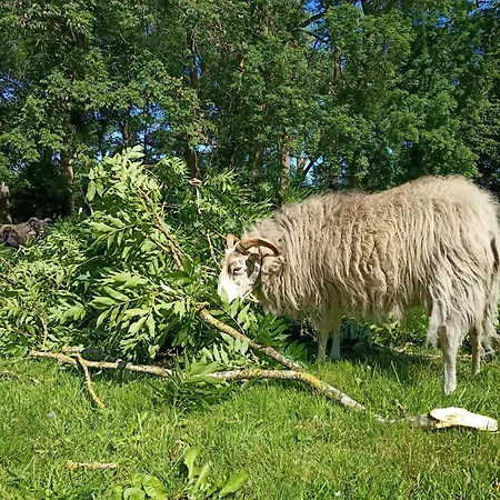 Ferien Am Schloss - 5 
